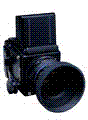 Vieusart